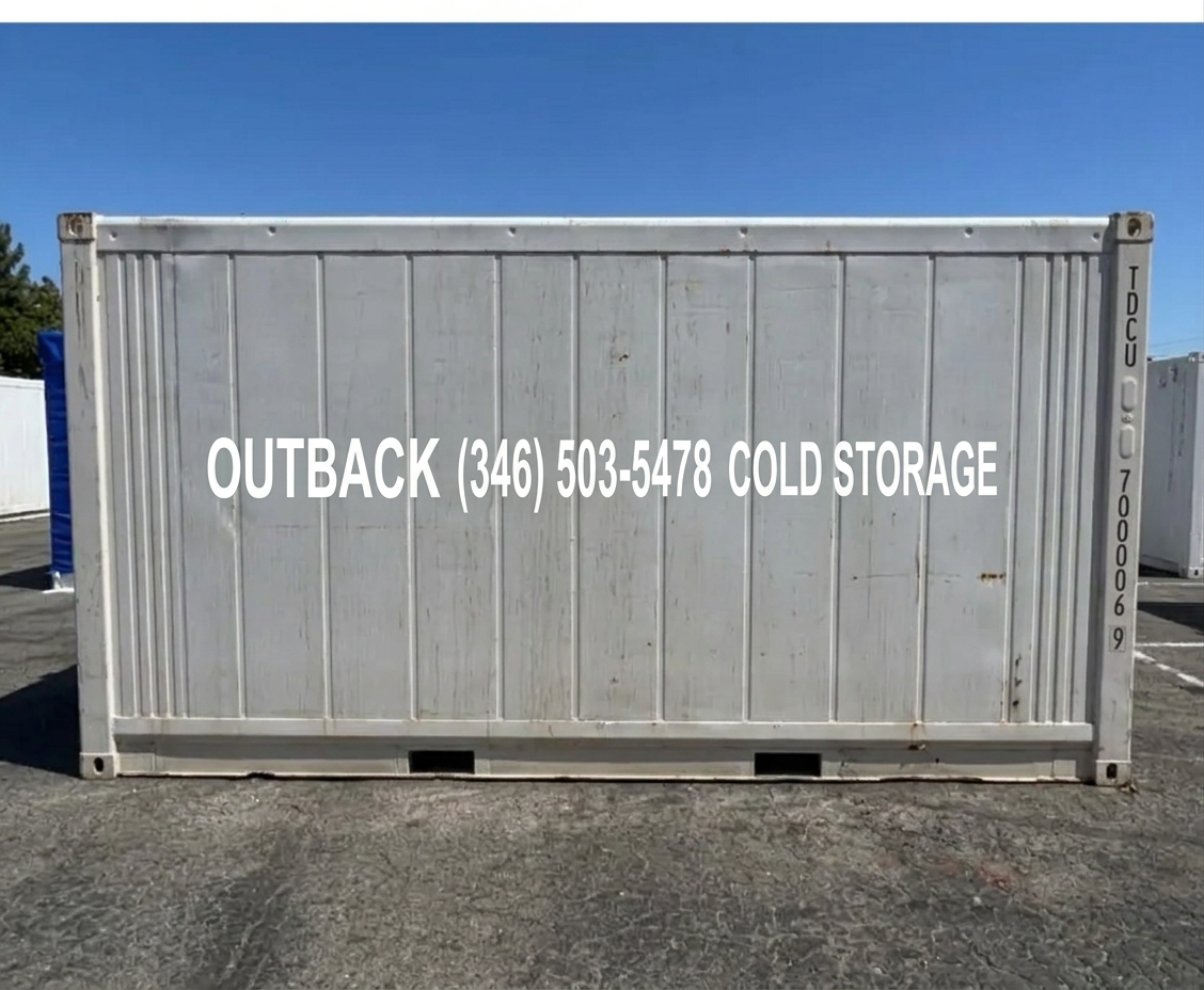 Thermo King Refrigerator Container – 20′ 2021 Reefer — 20ft — used — refrigerated containers (image 6 of 6)