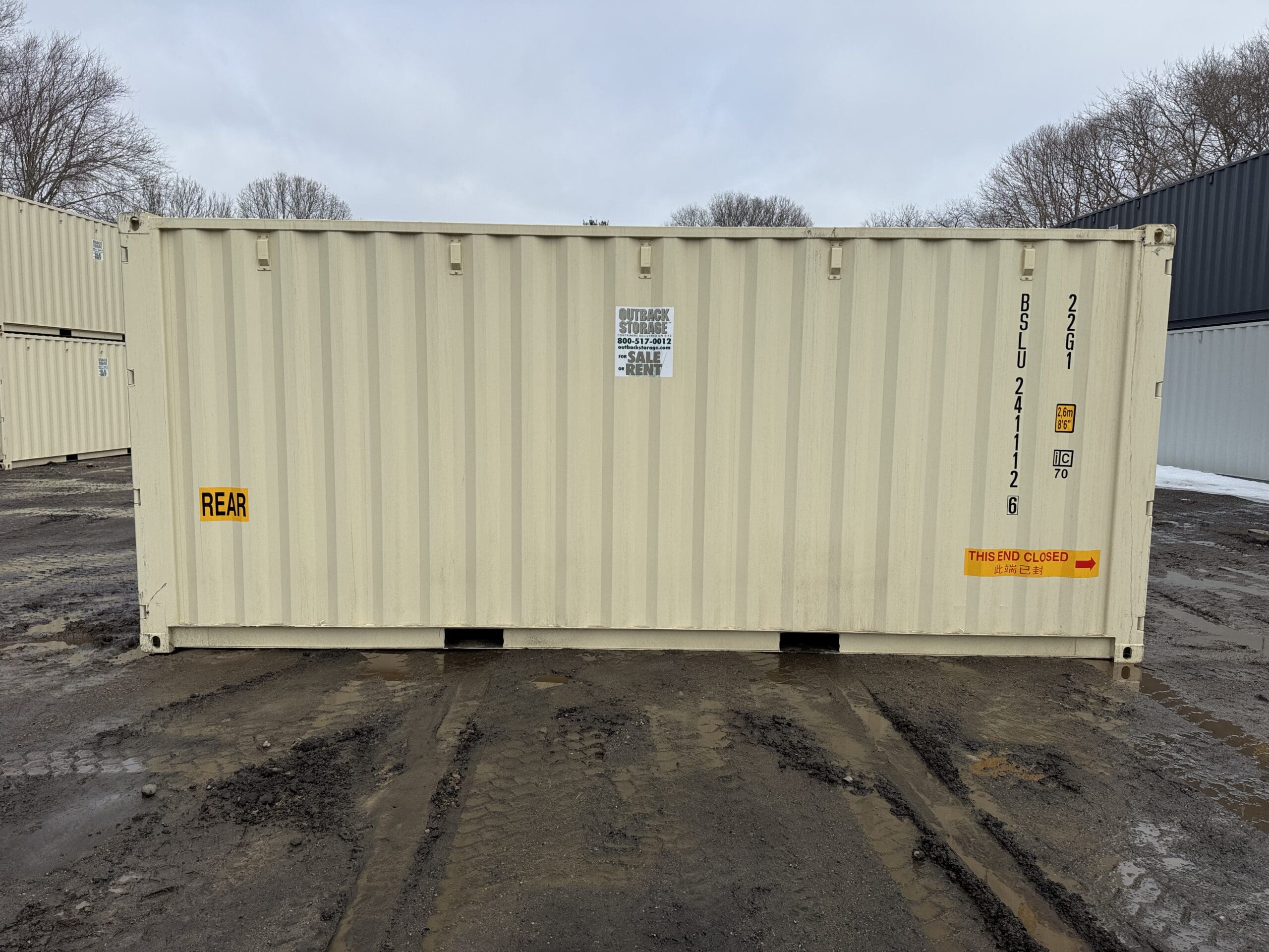 20ft New Shipping Container – Wind & Watertight – Beige — 20ft — new (image 9 of 12)