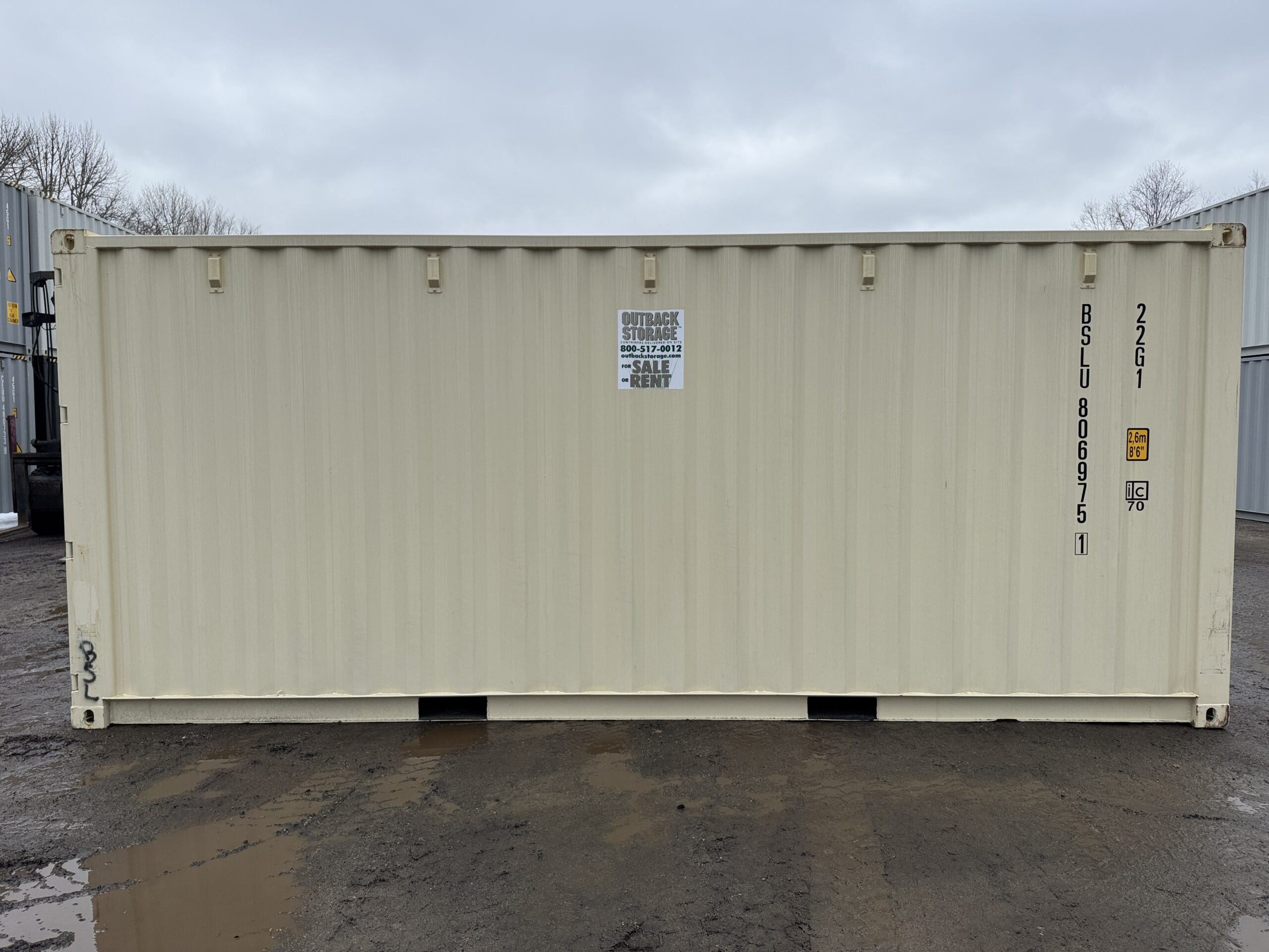 20ft New Shipping Container – Wind & Watertight – Beige — 20ft — new (image 10 of 12)