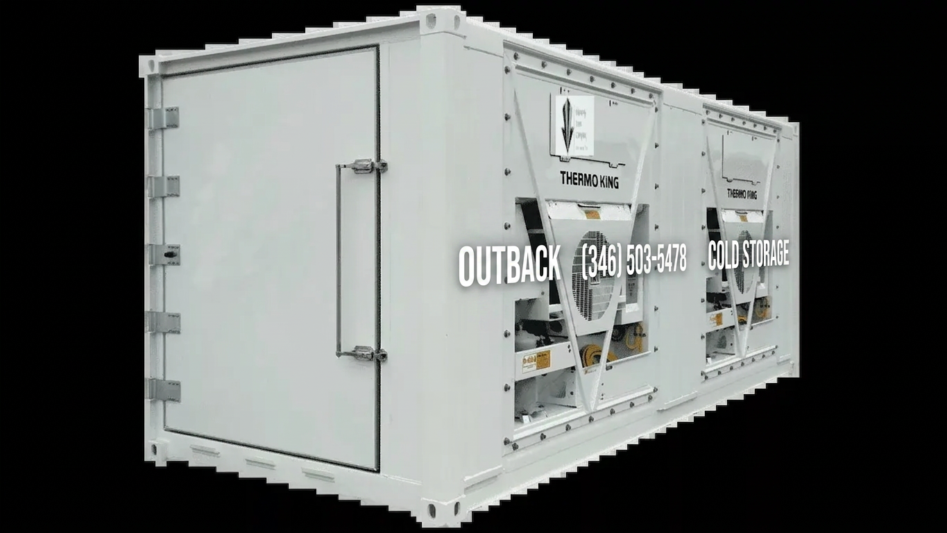 20ft Blast Freezers For Sale Online -40°F to 70°F (460V/230V 3P) — 40ft refrigerated container (image 1 of 2)